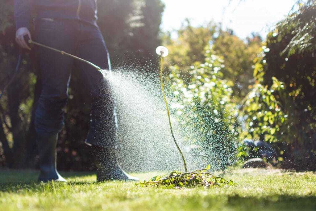DIY weed control edmonton