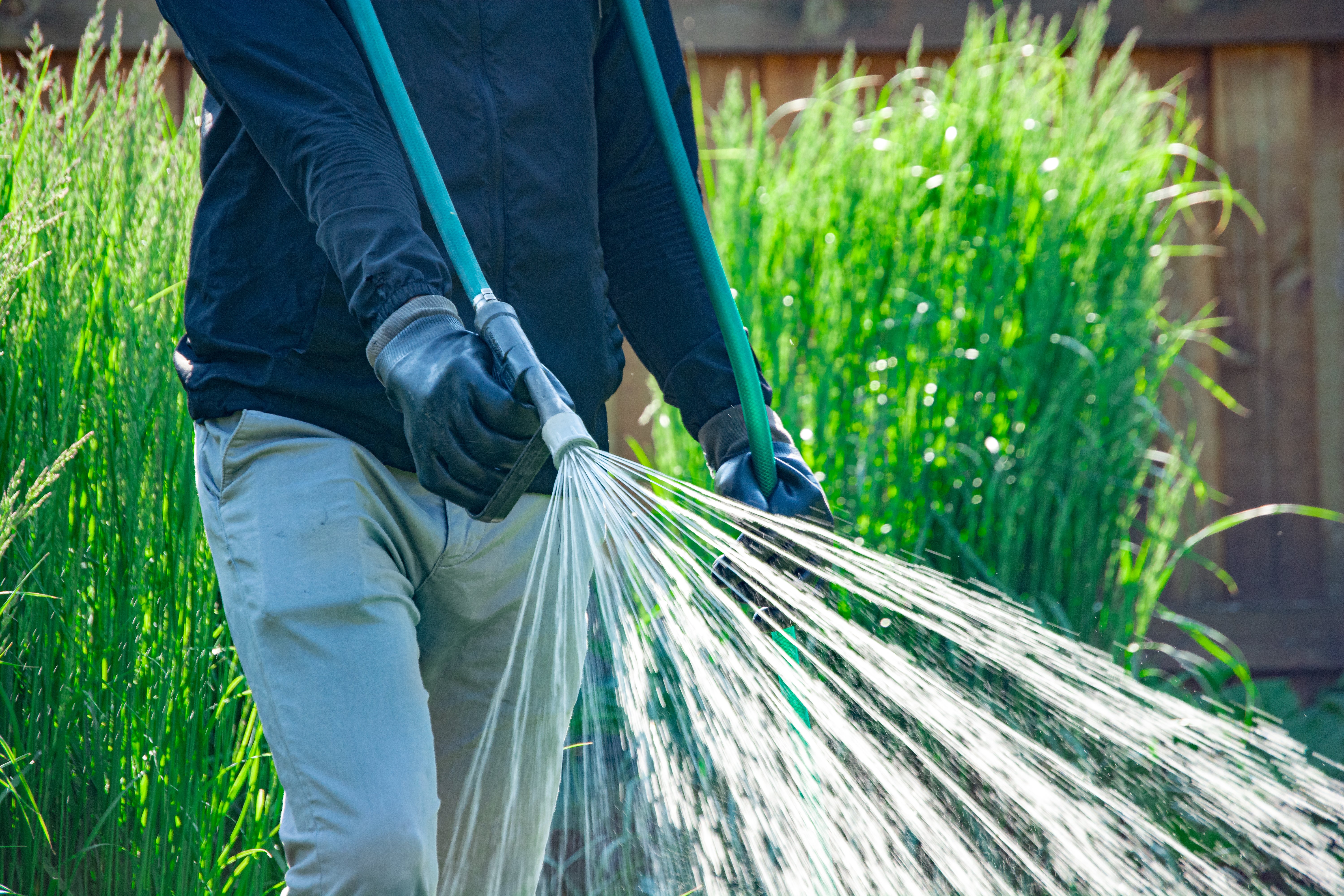 cost of weed control and fertilizer edmonton
