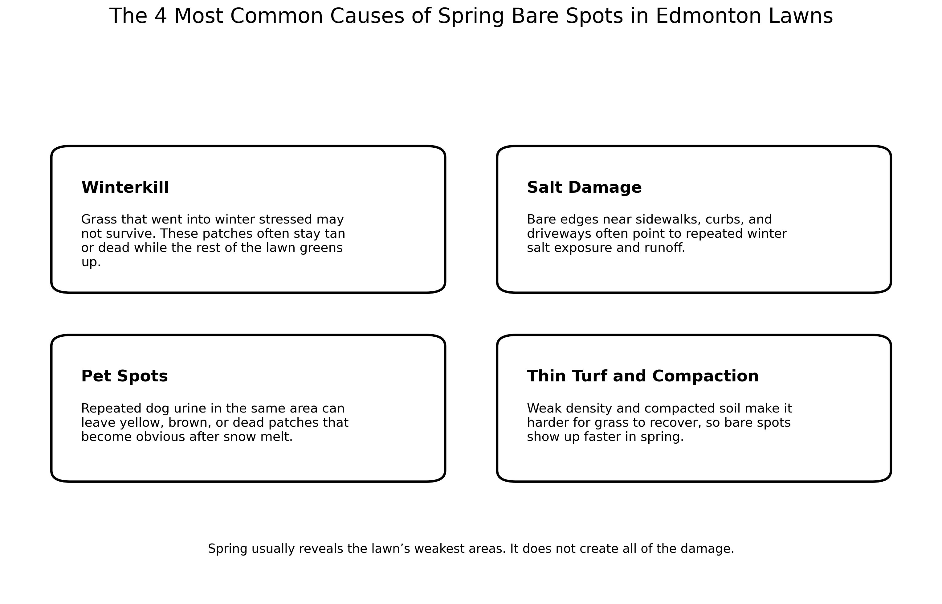 Graphic: The 4 most common causes of bare spots in your lawn in the spring