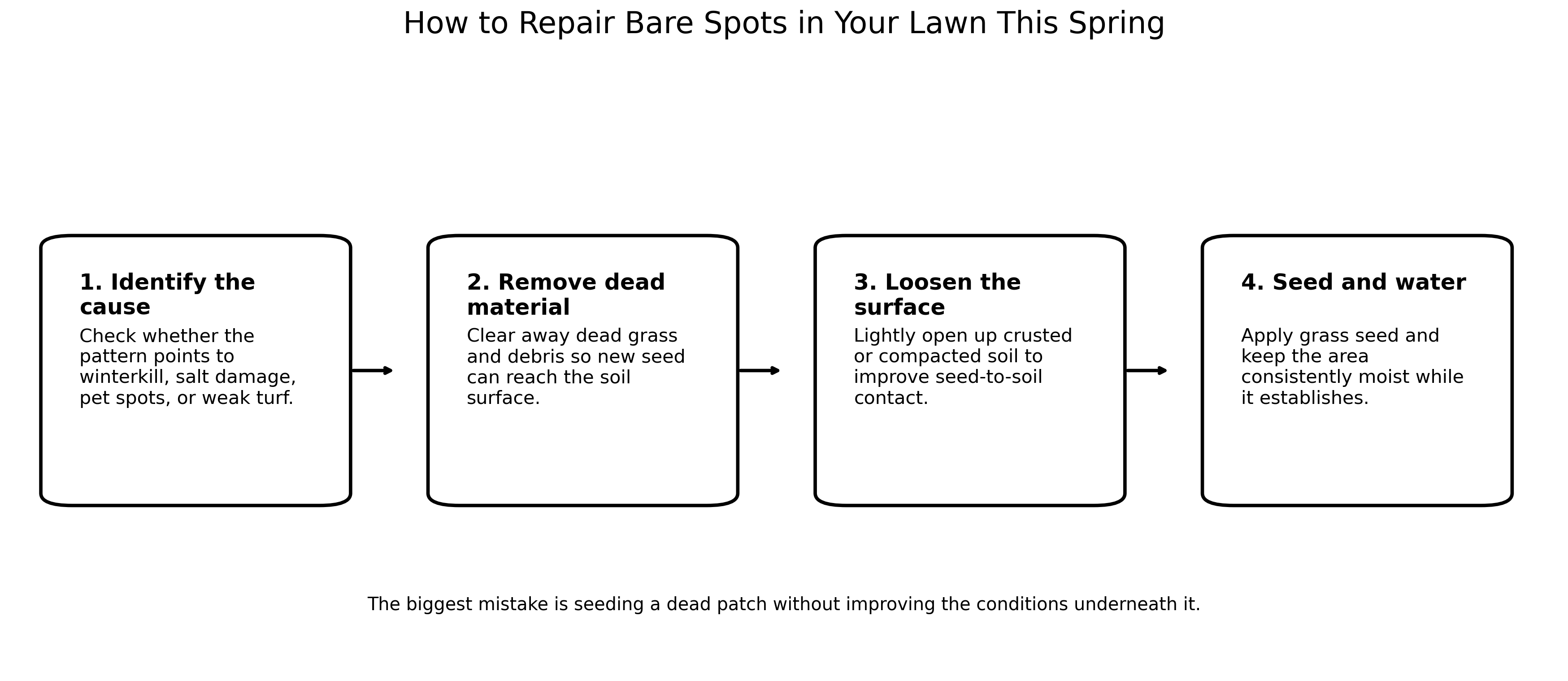 how to repair bare spots in your lawn this spring