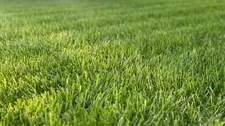 Fertilization pricing and cost edmonton