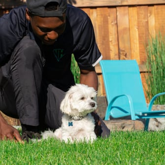 pet safe fertilization for spring edmonton