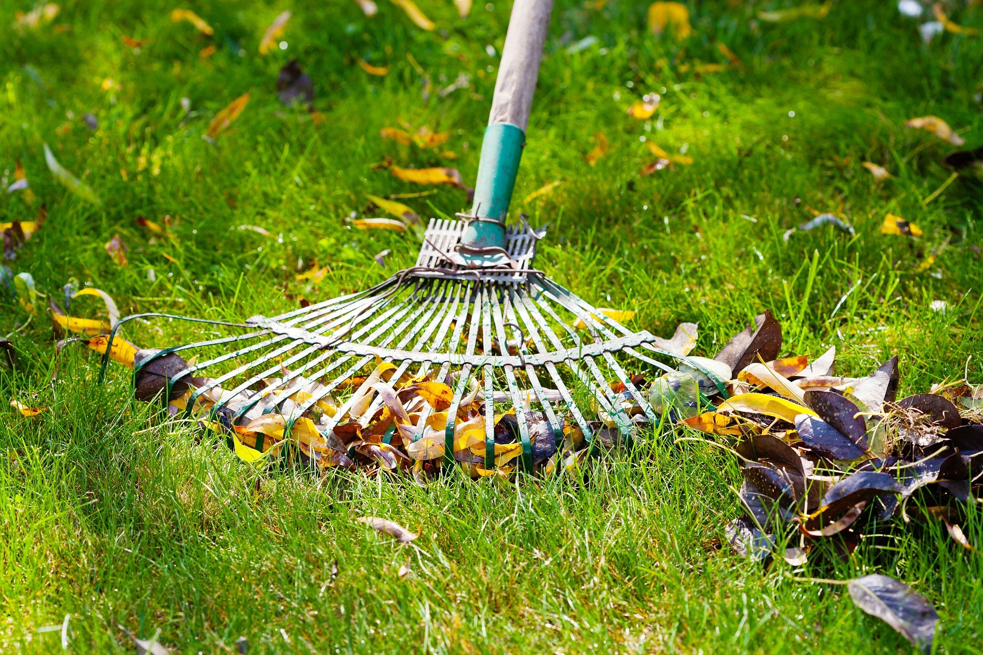 How Much Does Spring Lawn Care Cost in Edmonton 2026? (Real Prices ...