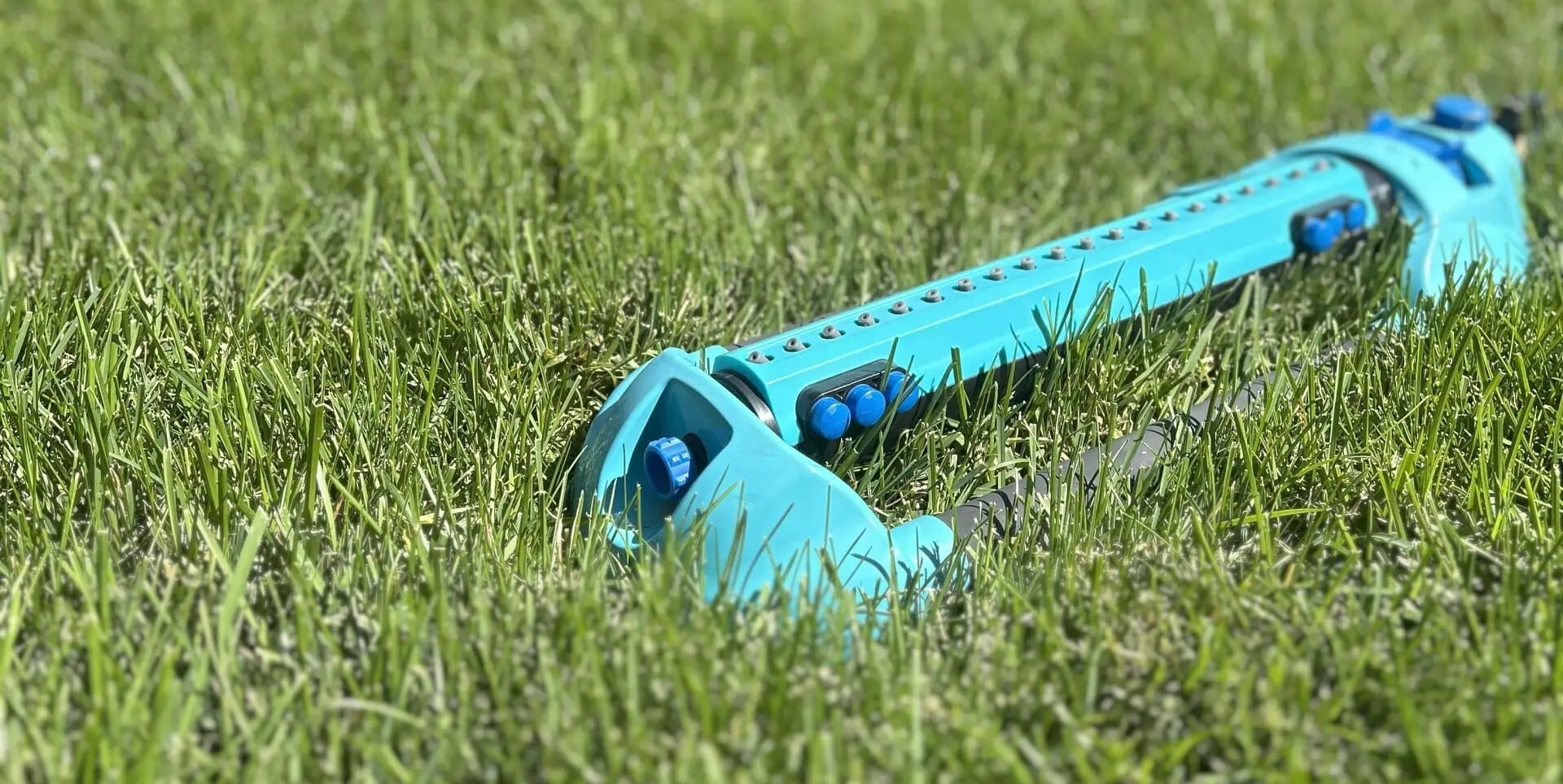 lawn water sprinkler on healthy lush green lawn